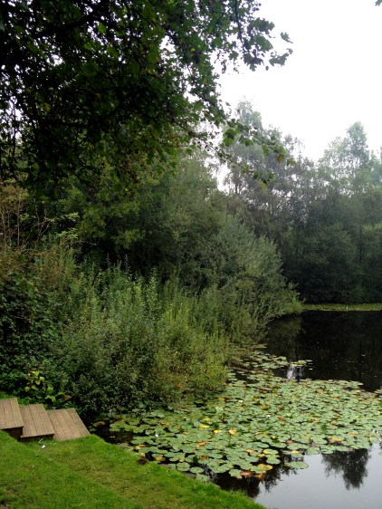 Pool of Peace - mines blew up enemy tunnels, creating huge craters. This one was filled with water and planted with lilies.
